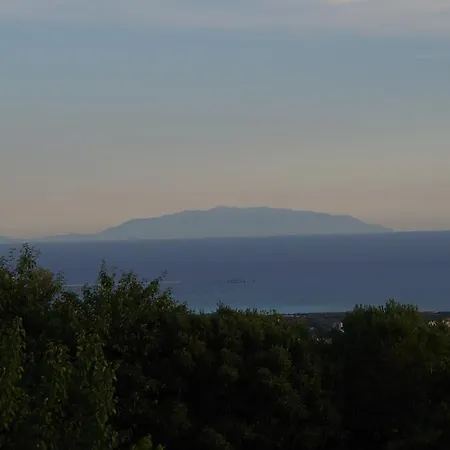 La Tagliola *